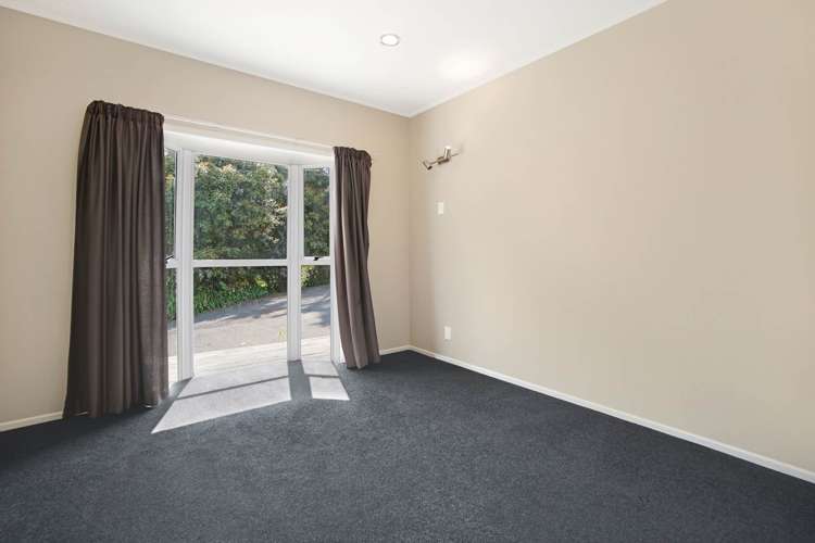 50 Potter Road Dairy Flat_10