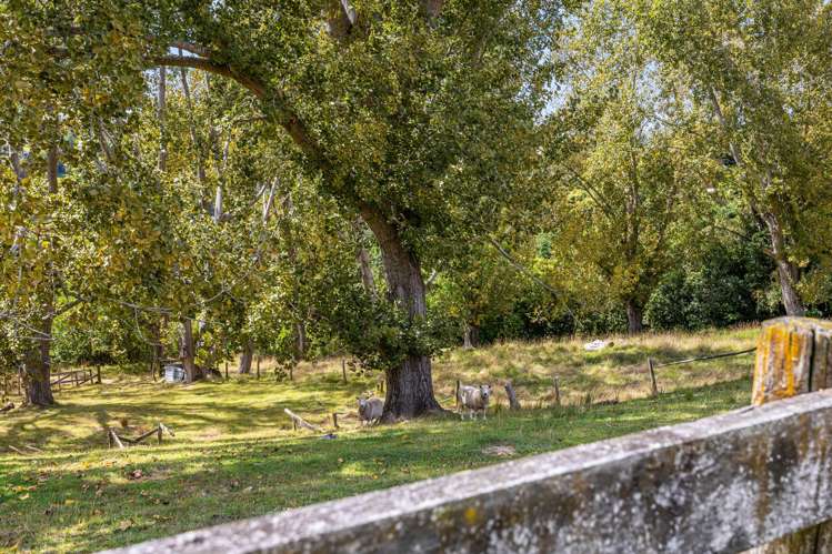 263 Point View Drive Dannemora_34