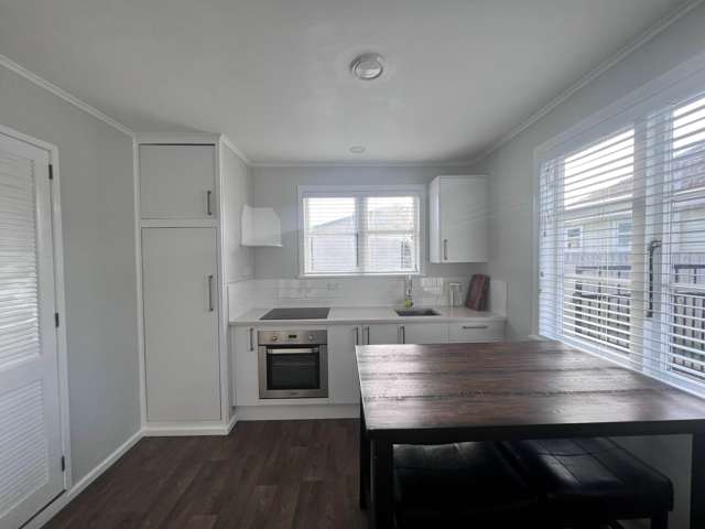 3 Benghazi Road Panmure_2