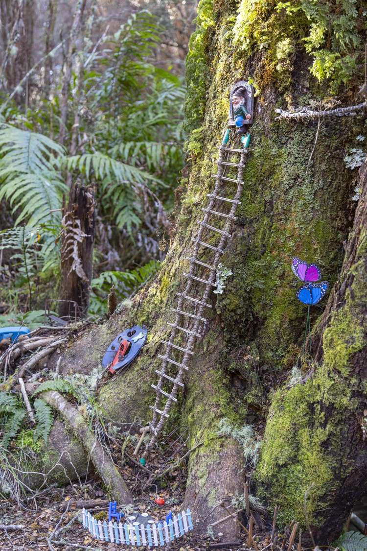 7 Mead Lane Ohakune_25