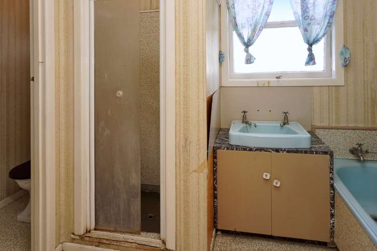 2 Lee Street Te Puke_13