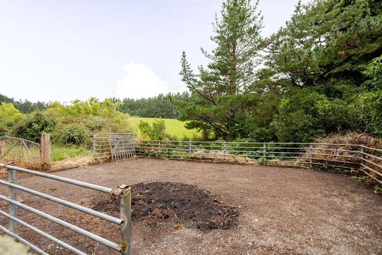 406 Top Grass Road Dannevirke_20