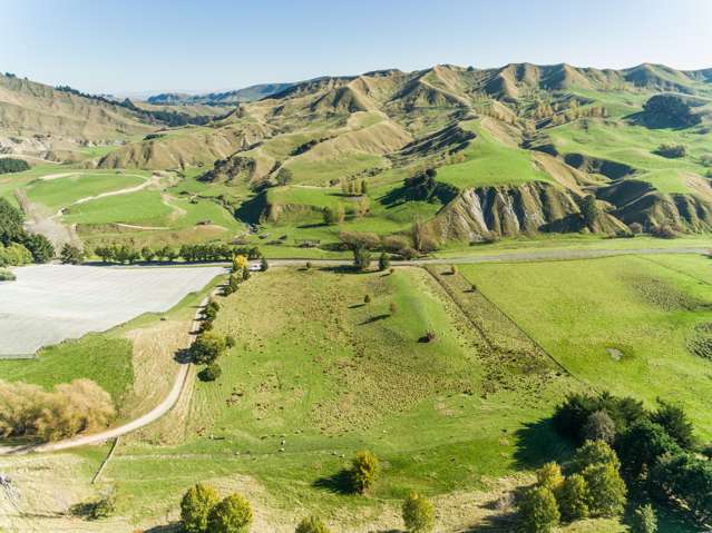 2069 Kahuranaki Road Elsthorpe_4