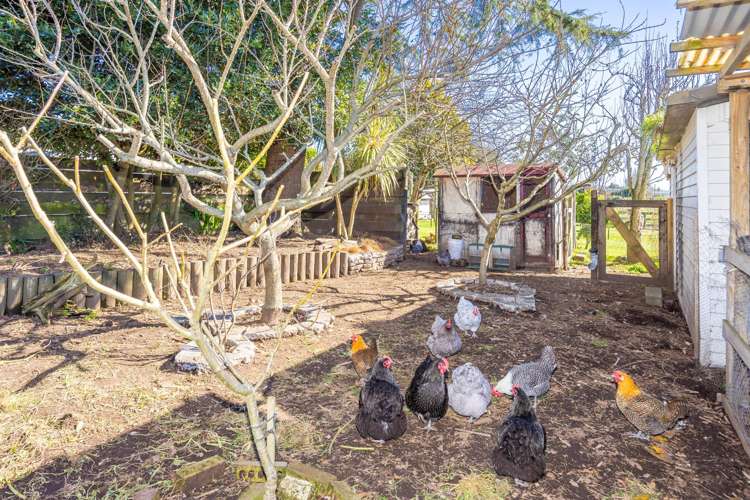 9 Lucien Place Whitikahu_27