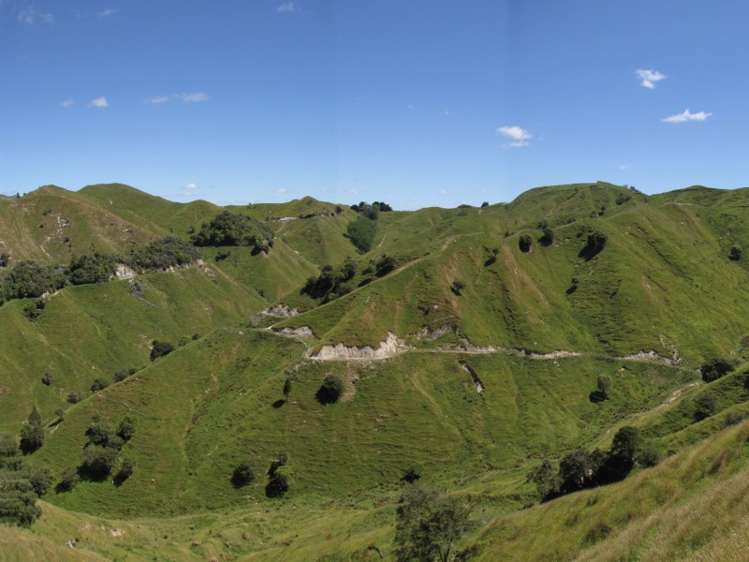 1168 Manui Road Mangaweka_4