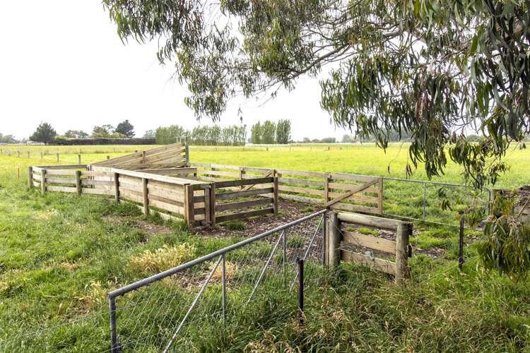 78 Orakipaoa Island Road Temuka_13