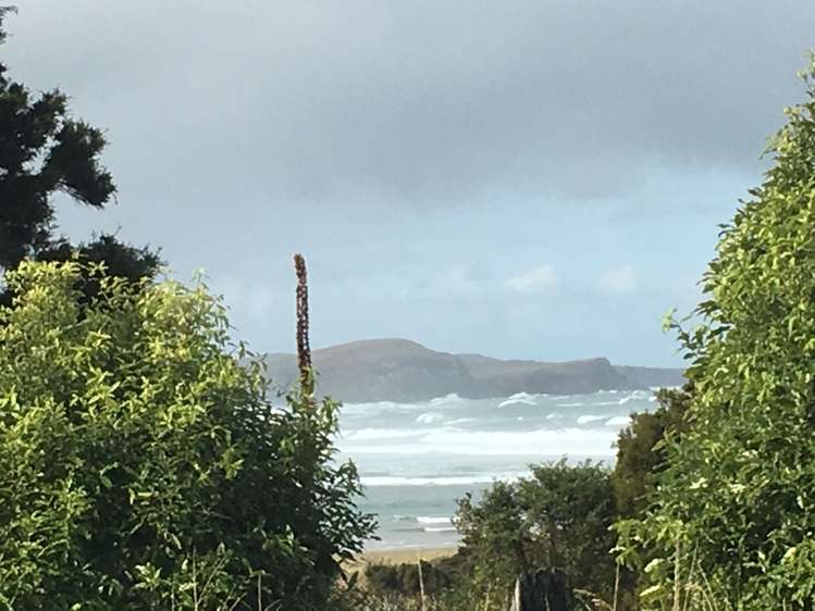 26 Mirren Street Papatowai/Pounawea_15