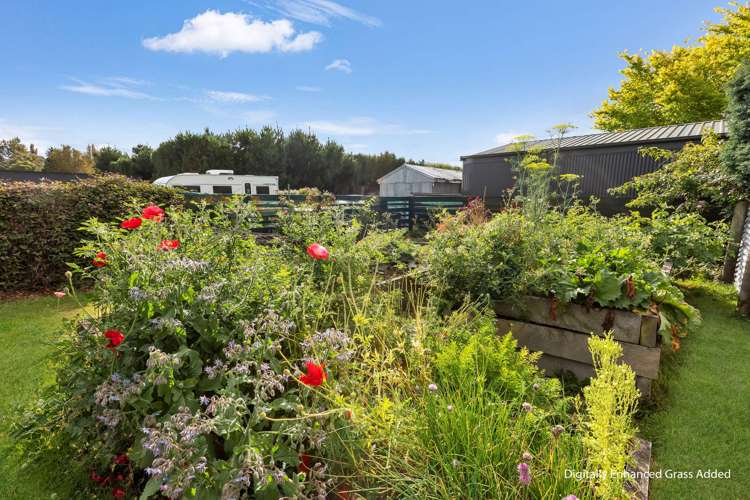 15 Chester Street Riversdale_22