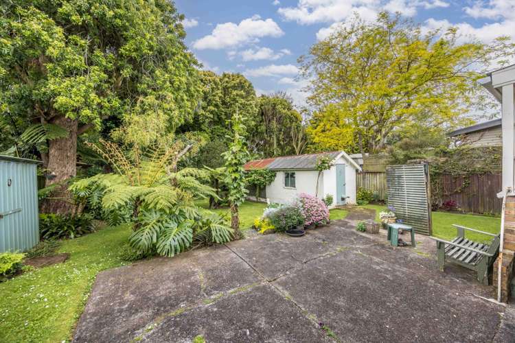 29 Aroha Avenue Sandringham_5