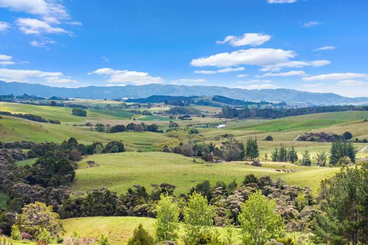 24A & 20 Wood Pigeon Lane Mangawhai_10