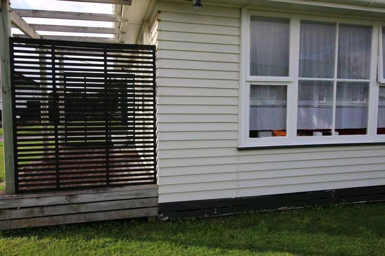 20 Ward Street Bulls_29