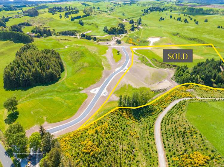 324 Palmer Mill Road Wairakei_16
