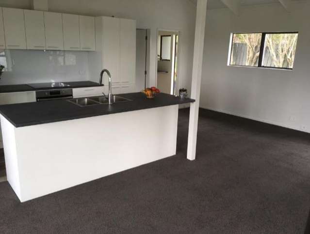 292b Rodney Street Wellsford_3