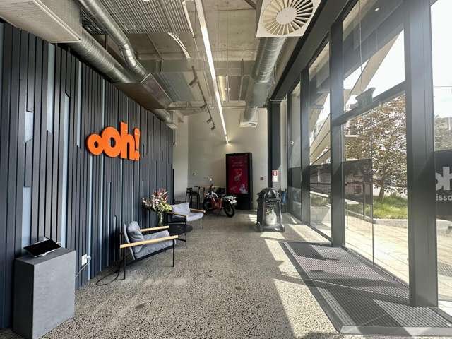 22 Pollen Street Grey Lynn_3