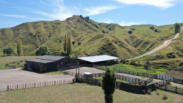 3779 Whanganui River Road (State Highway 43) Ruapehu-King Country Surrounds_14