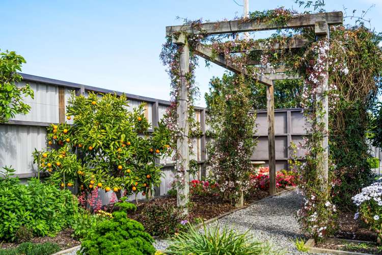 11 Rose Street Springlands_24