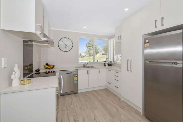 45 Kelman Road Kelston_3