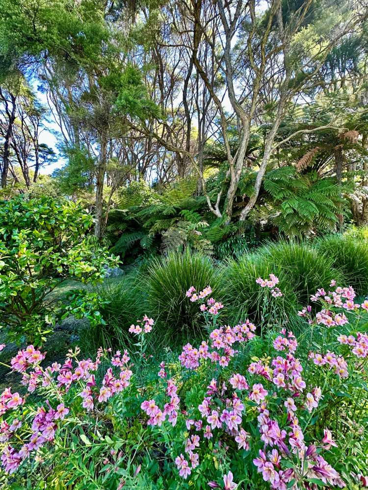 2b Kereru Lane Matata_13