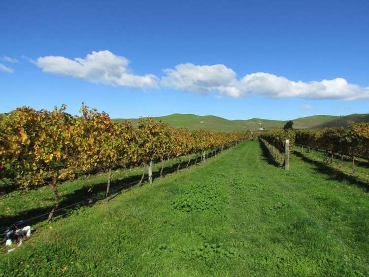 1928 Maraekakaho Road Central Hawkes Bay Coastal_5