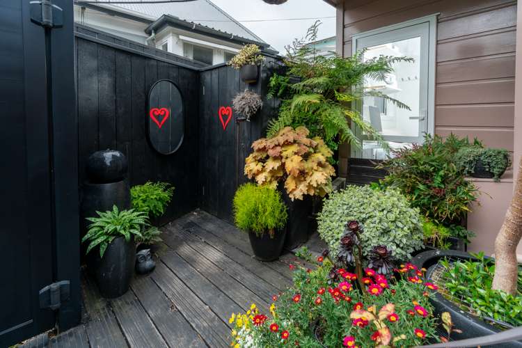 24b Roy Street Newtown_20