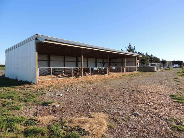 558 Seadown Road Seadown_13