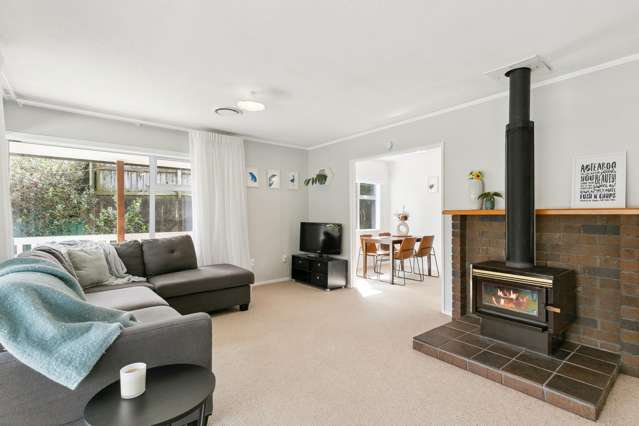 21a Mexted Terrace Tawa_2