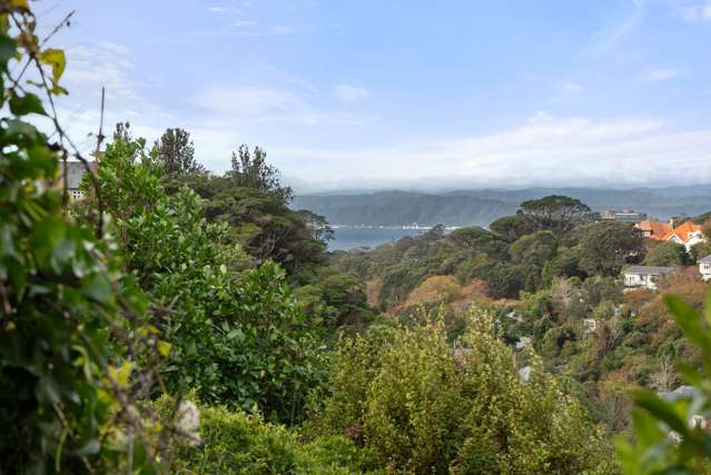 Central Wellington Hot Spot - Builder A Must Have!