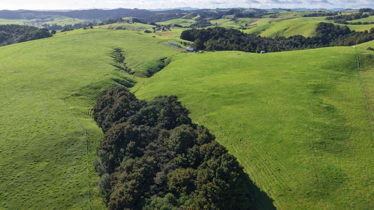 256 McIntyre Road Oromahoe_7