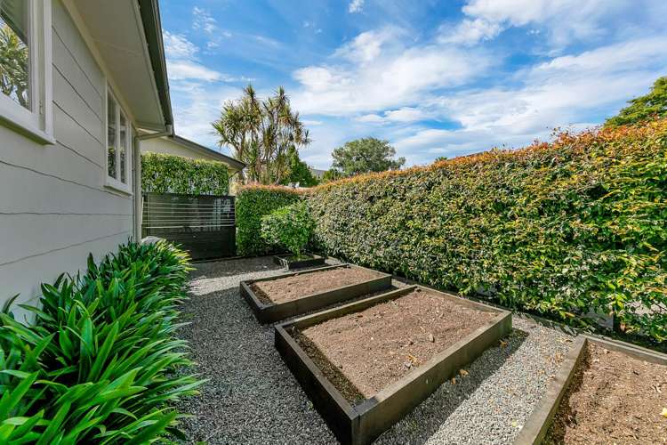 11b Highbury Street Avondale_5