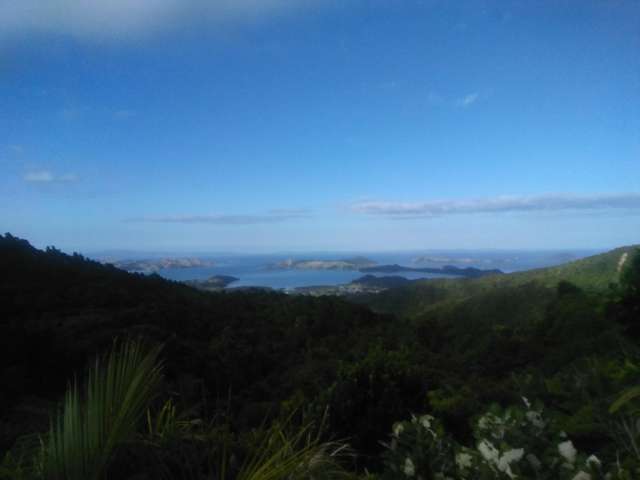 537B Tuateawa Road Tuateawa_2