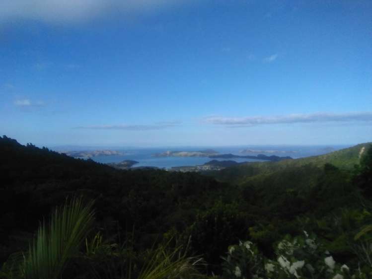 537B Tuateawa Road Tuateawa_2