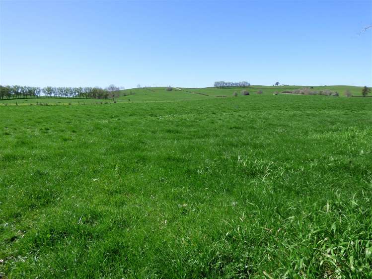 336 Grove Road Te Pahu_6