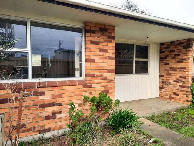 1/3 Albert Street Otahuhu_1