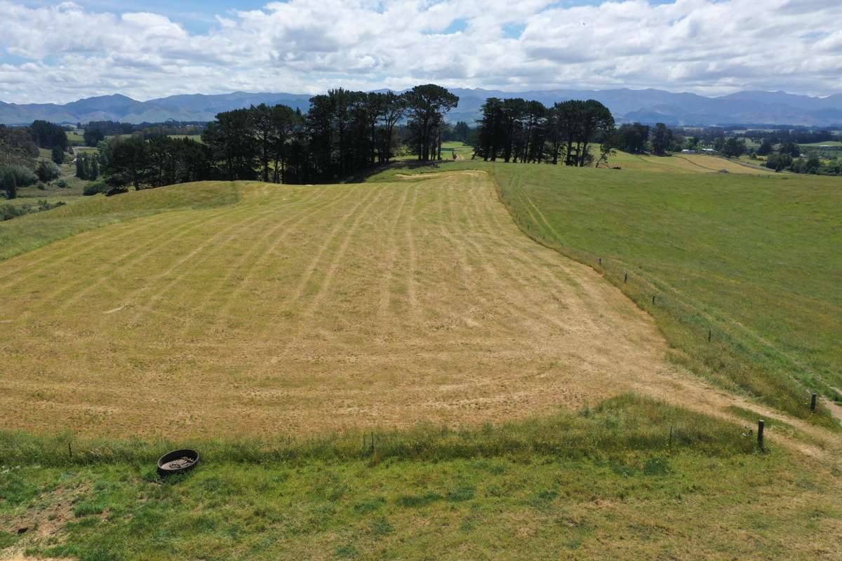 83 Norsewood Ormondville Road_4