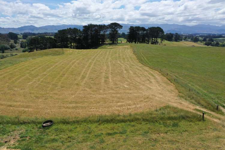 83 Norsewood Ormondville Road Norsewood_8