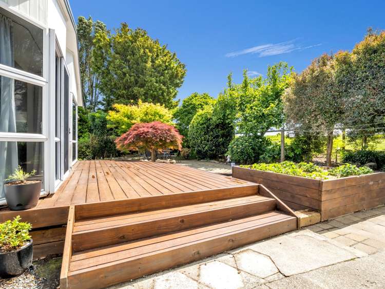 81 College Road Edgecumbe_24