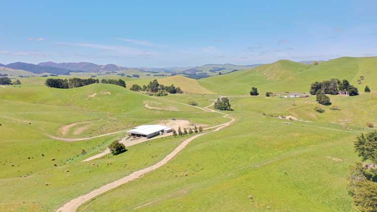 207 Mangatuna Road Weber_11