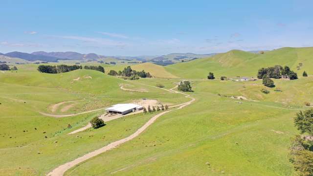 Sound sheep and beef opportunity