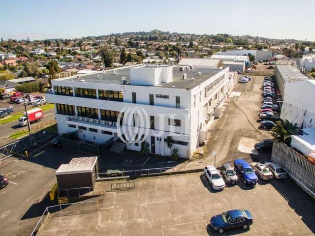 Ground Level/173 Captain Springs Road Onehunga_2