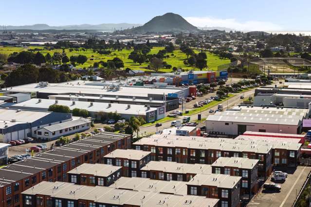 62/17 Owens Place Mt Maunganui_3