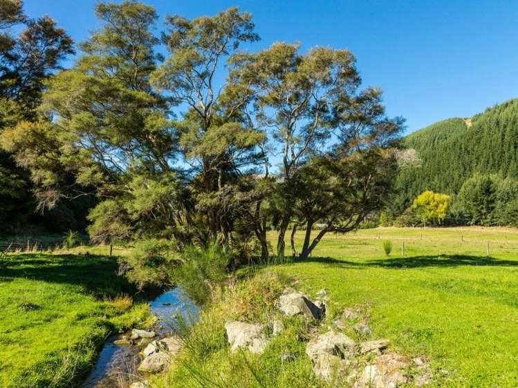 216 Para Road Picton_10