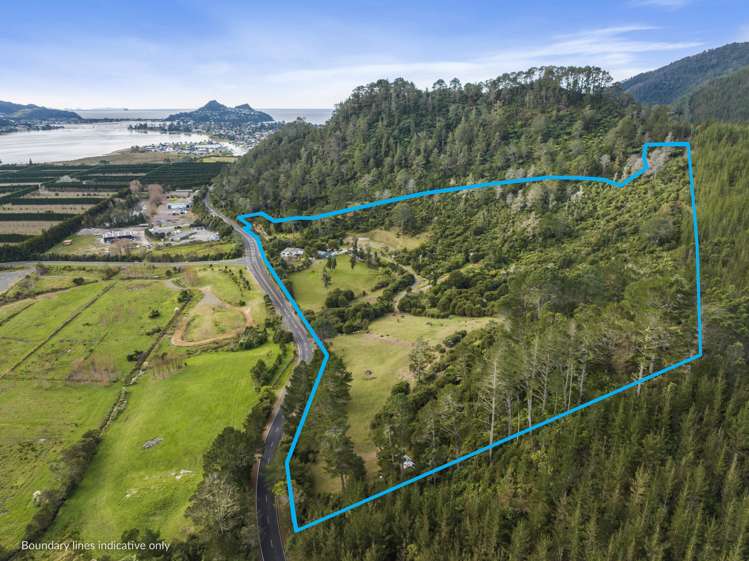 896a Hikuai Settlement Road Pauanui_0