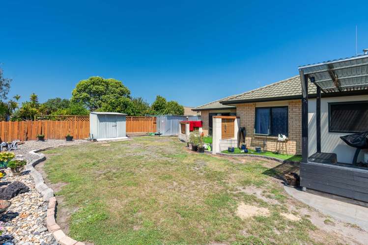 3 Kentia Avenue Mount Maunganui_2