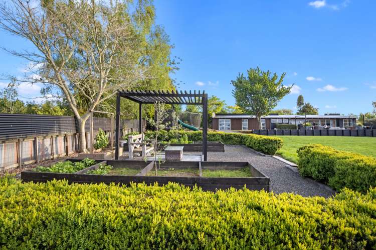 2/84 Herbert Street Kihikihi_19