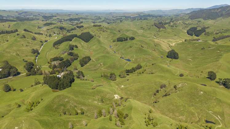 329 North Road Masterton_1