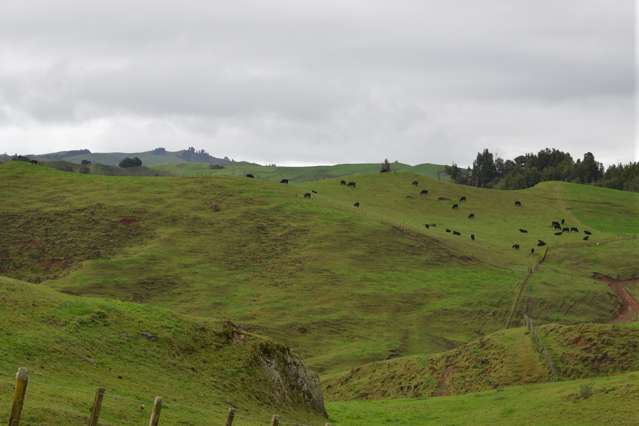 10 Kopaki Road Te Kuiti_3