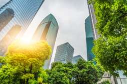 Growing green trend in sustainable offices