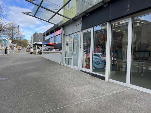 176 Victoria Street Te Aro_1