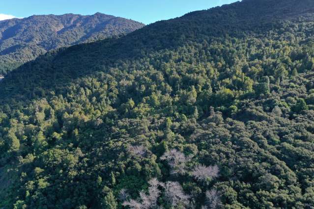 196 Griffiths Road Ruatoria_2