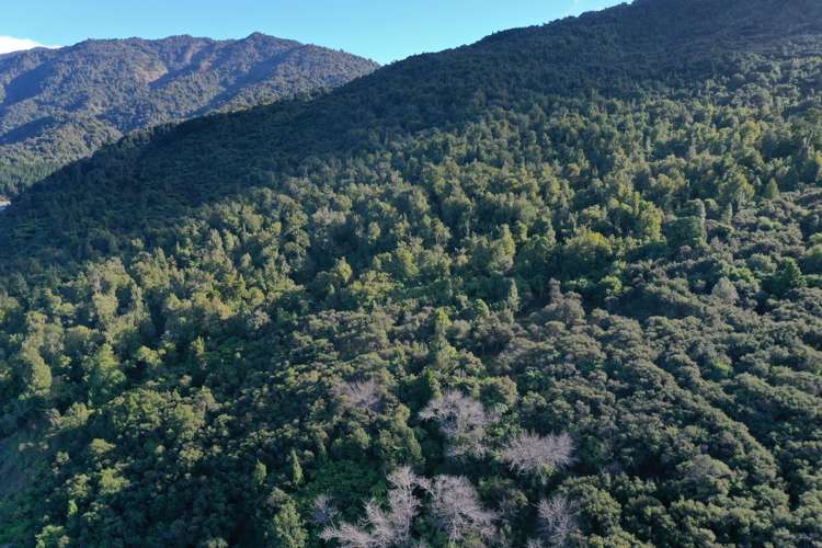 196 Griffiths Road Ruatoria_2